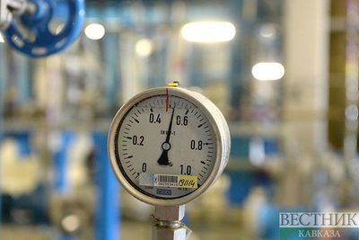 Украинскую промышленность ждет крах без российского газа